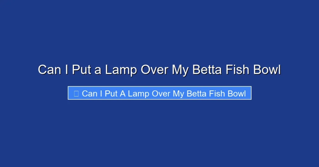 Can I Put a Lamp Over My Betta Fish Bowl