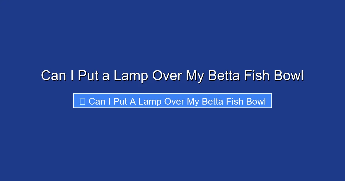 Can I Put a Lamp Over My Betta Fish Bowl