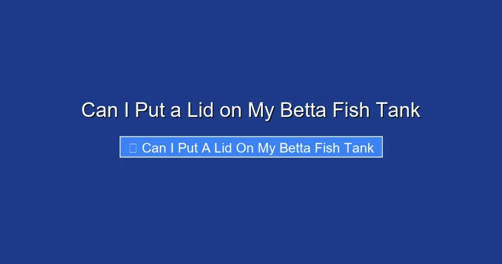 Can I Put a Lid on My Betta Fish Tank