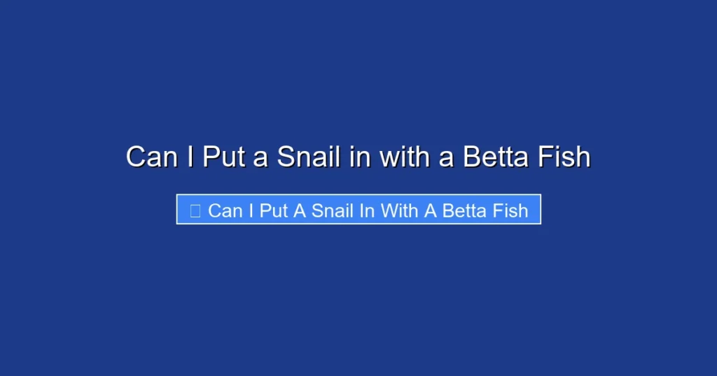 Can I Put a Snail in with a Betta Fish