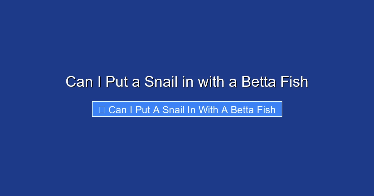 Can I Put a Snail in with a Betta Fish