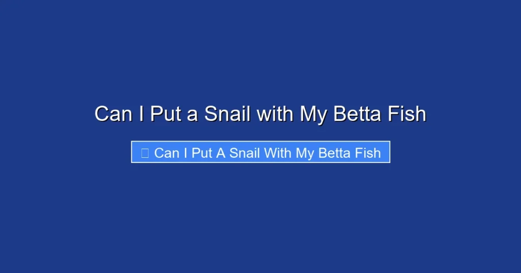 Can I Put a Snail with My Betta Fish
