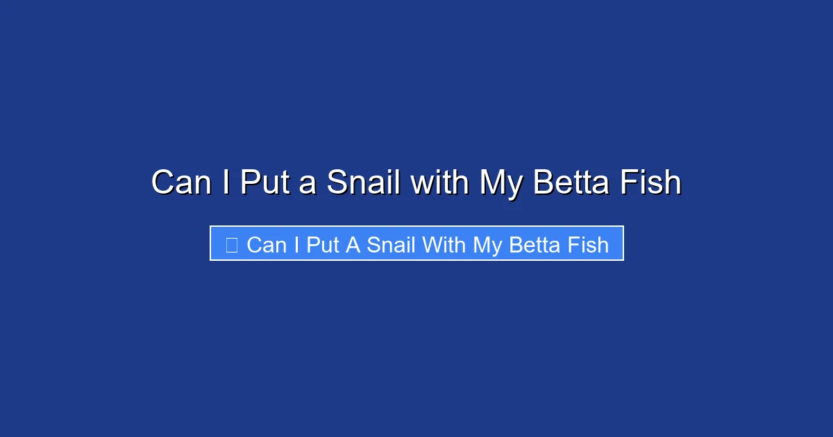 Can I Put a Snail with My Betta Fish