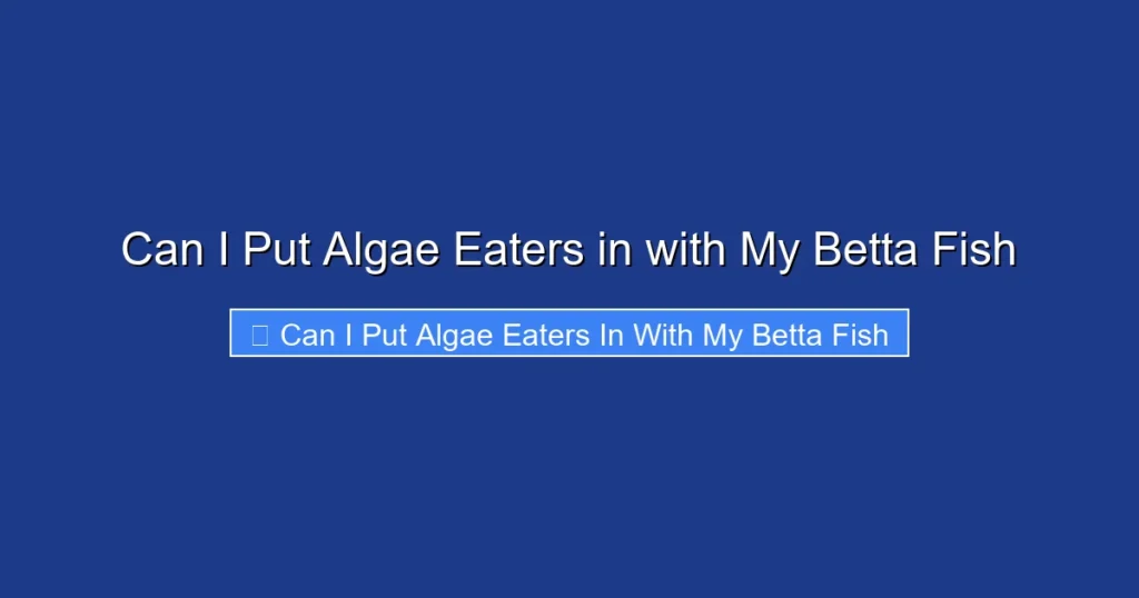 Can I Put Algae Eaters in with My Betta Fish