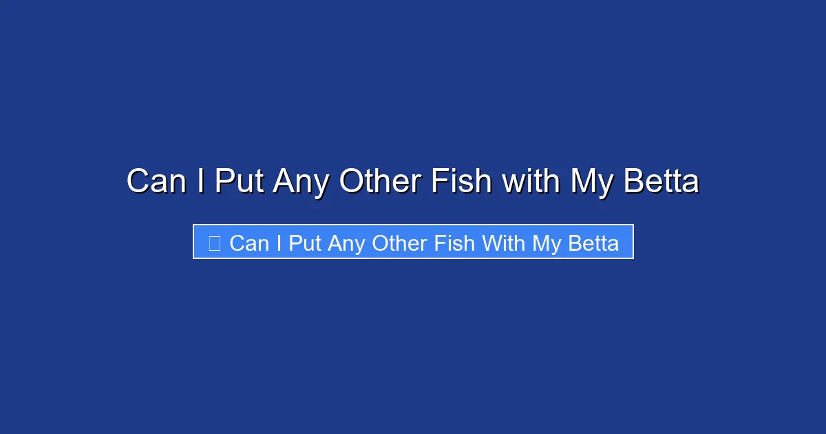 Can I Put Any Other Fish with My Betta