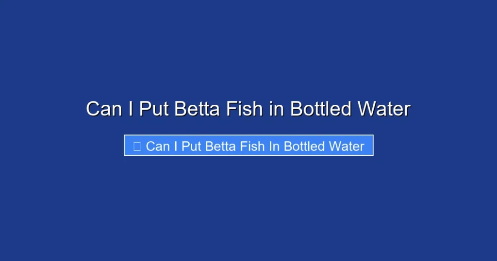 Can I Put Betta Fish in Bottled Water