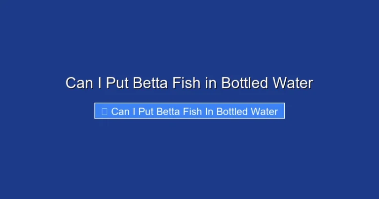 Can I Put Betta Fish in Bottled Water