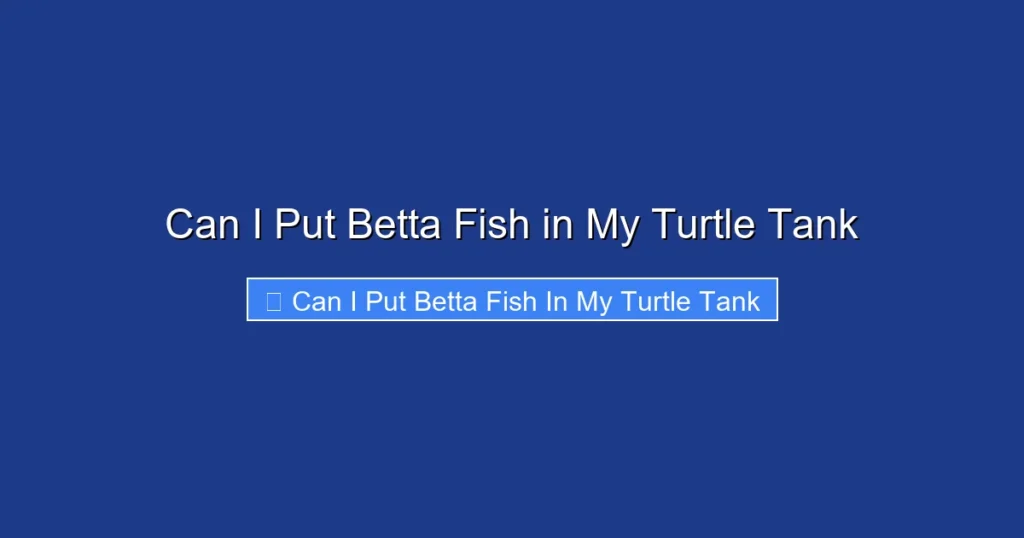 Can I Put Betta Fish in My Turtle Tank