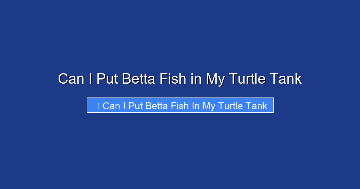 Can I Put Betta Fish in My Turtle Tank