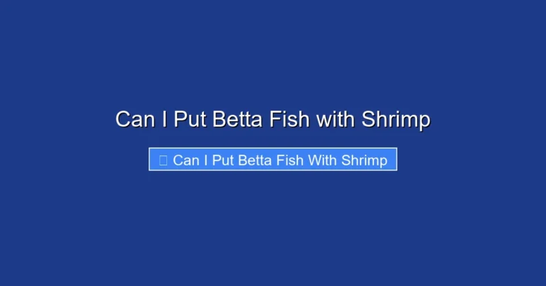 Can I Put Betta Fish with Shrimp