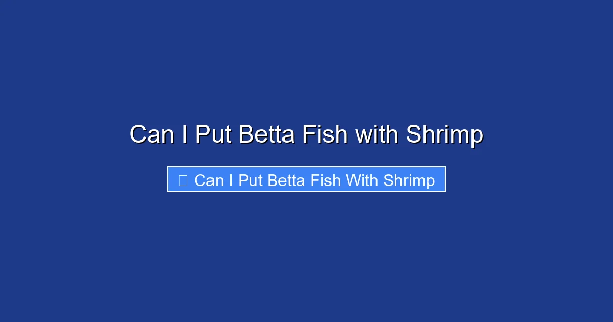 Can I Put Betta Fish with Shrimp