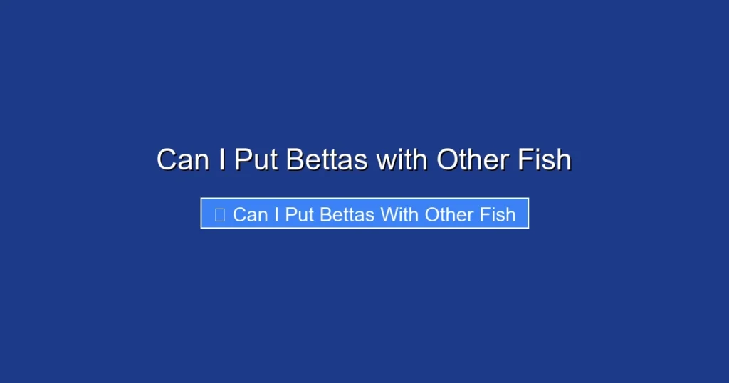 Can I Put Bettas with Other Fish