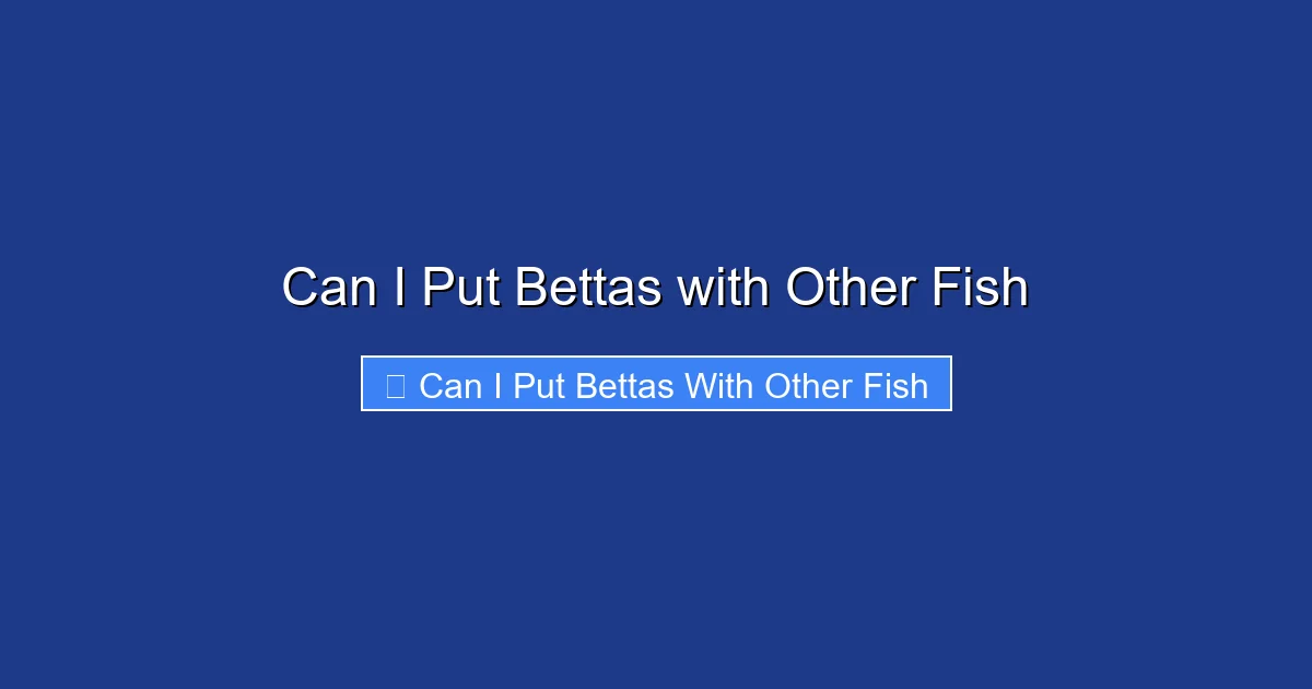 Can I Put Bettas with Other Fish