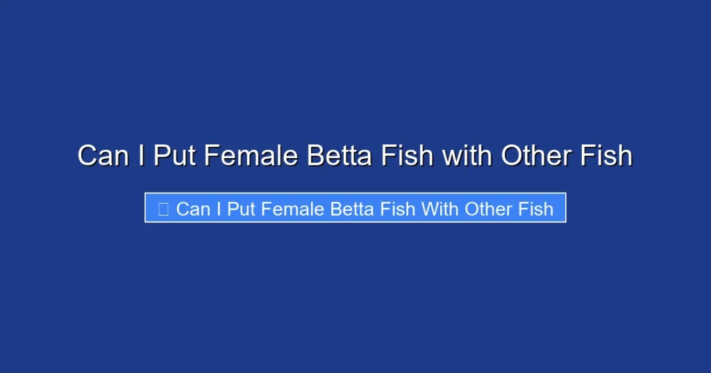Can I Put Female Betta Fish with Other Fish