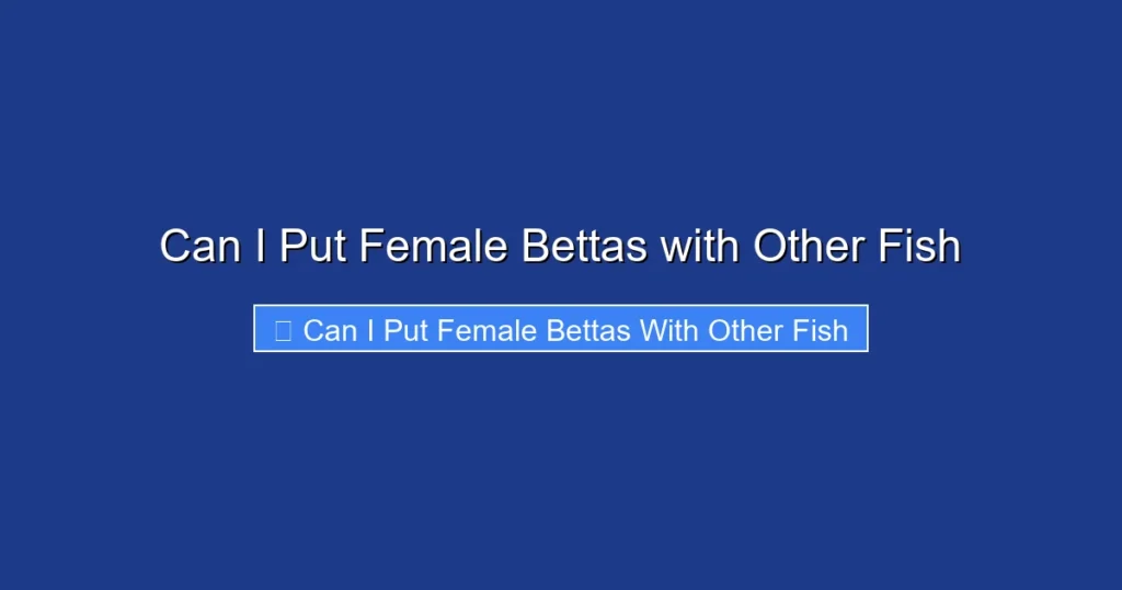 Can I Put Female Bettas with Other Fish