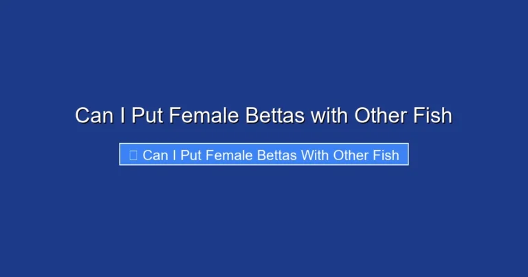 Can I Put Female Bettas with Other Fish