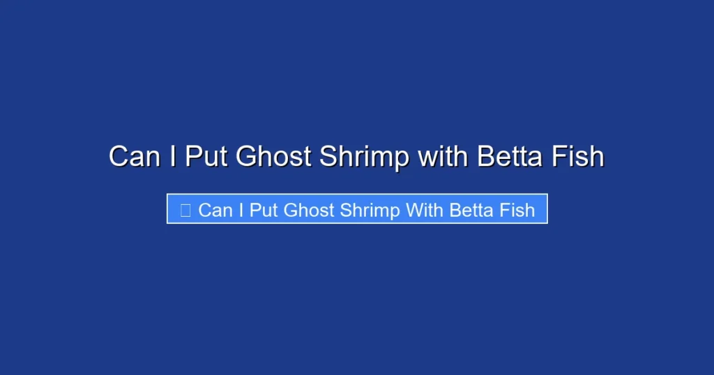 Can I Put Ghost Shrimp with Betta Fish