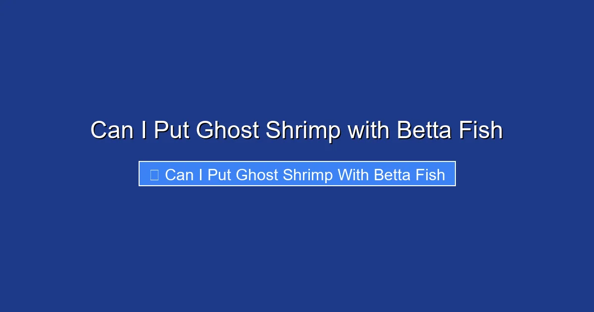 Can I Put Ghost Shrimp with Betta Fish