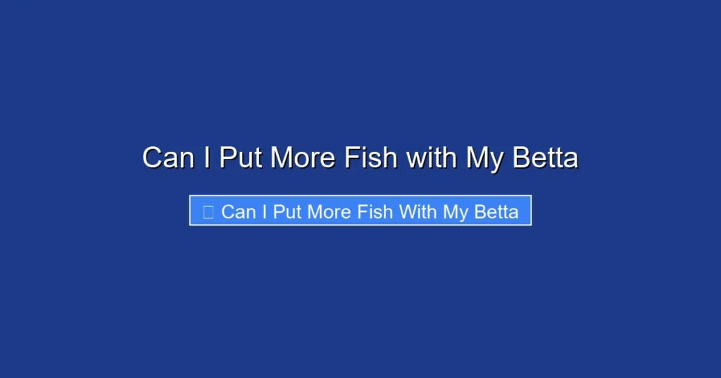 Can I Put More Fish with My Betta