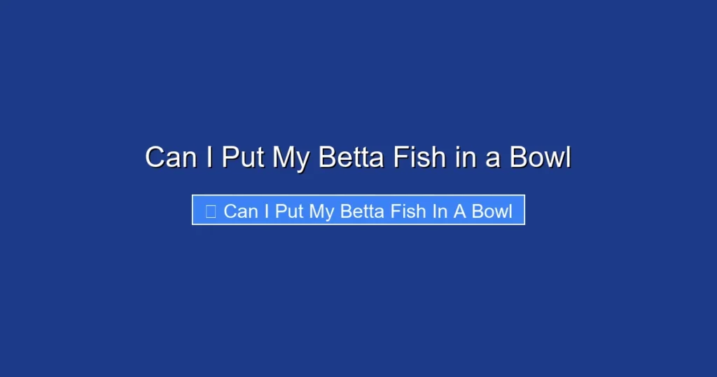 Can I Put My Betta Fish in a Bowl