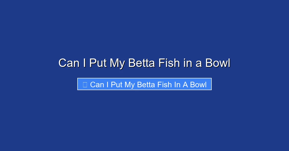 Can I Put My Betta Fish in a Bowl
