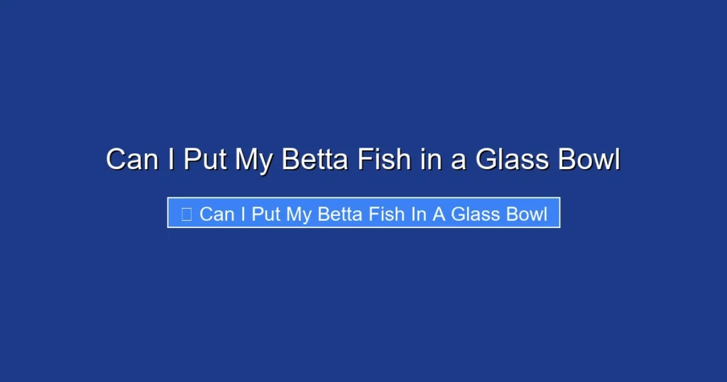 Can I Put My Betta Fish in a Glass Bowl