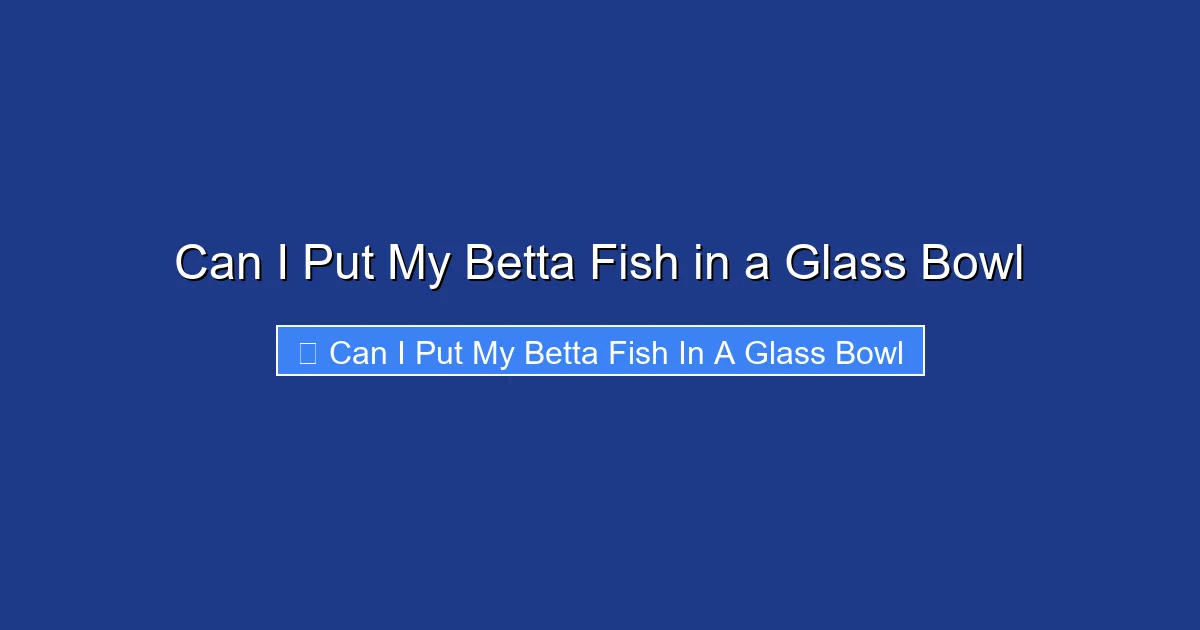 Can I Put My Betta Fish in a Glass Bowl