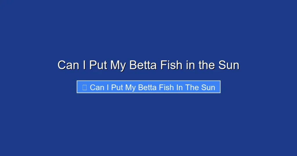 Can I Put My Betta Fish in the Sun