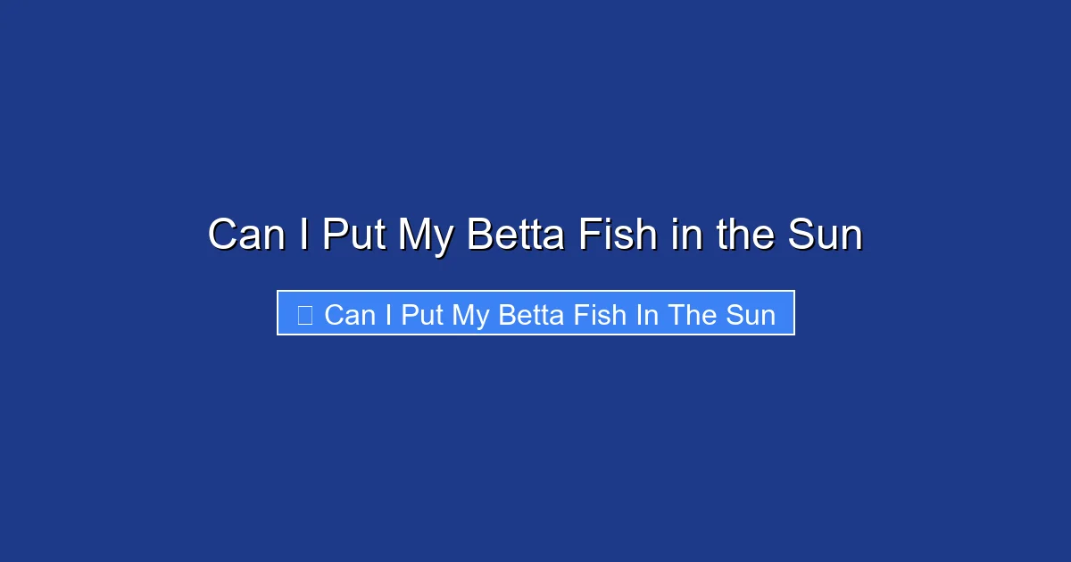 Can I Put My Betta Fish in the Sun