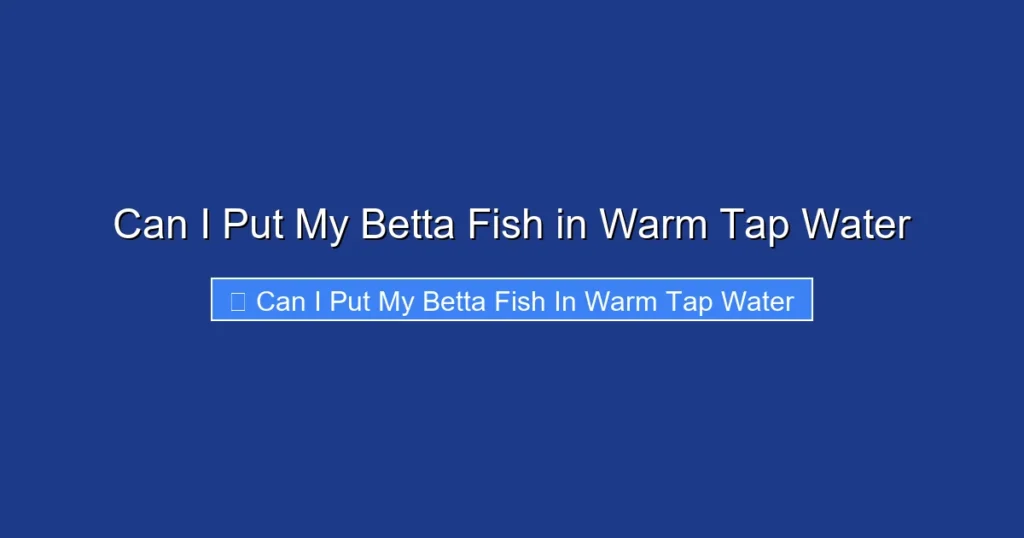 Can I Put My Betta Fish in Warm Tap Water
