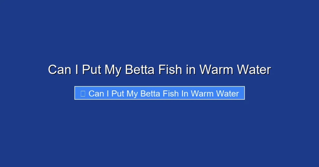 Can I Put My Betta Fish in Warm Water