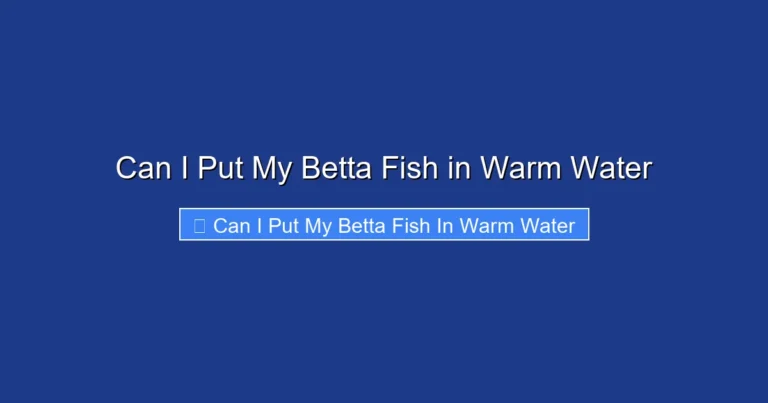 Can I Put My Betta Fish in Warm Water