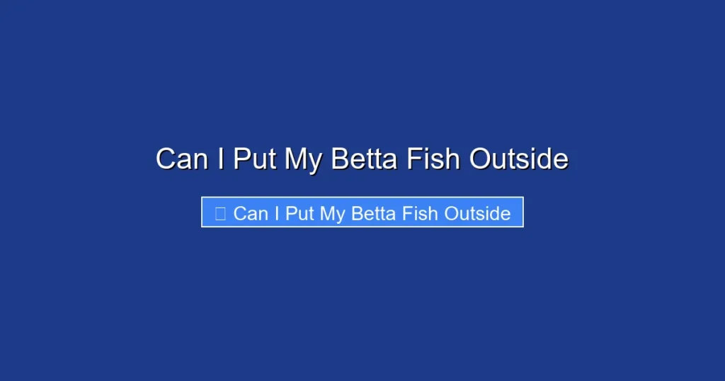 Can I Put My Betta Fish Outside
