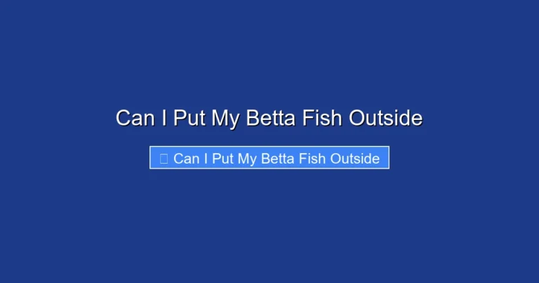 Can I Put My Betta Fish Outside