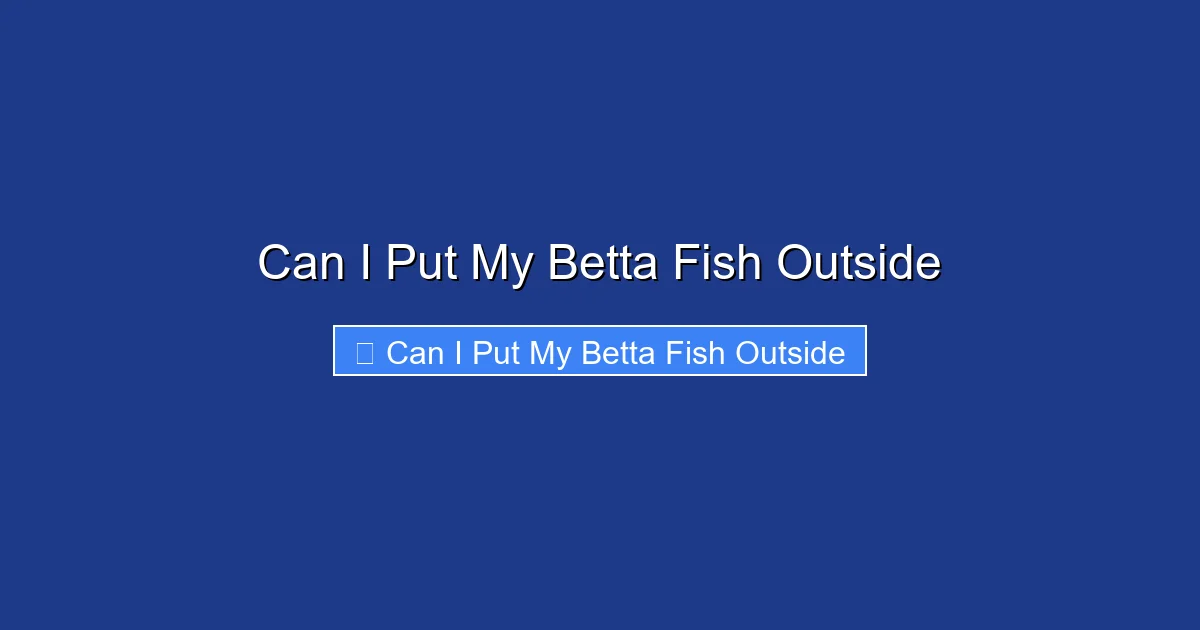 Can I Put My Betta Fish Outside