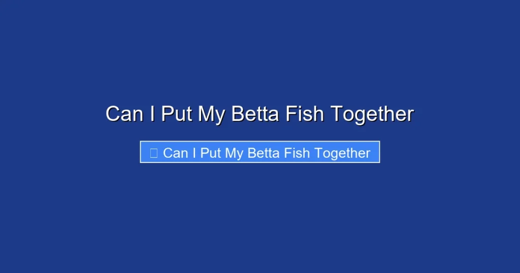 Can I Put My Betta Fish Together