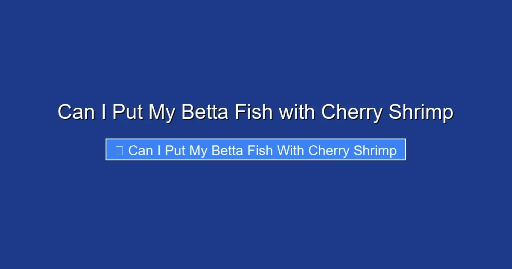 Can I Put My Betta Fish with Cherry Shrimp