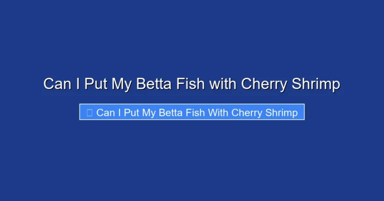 Can I Put My Betta Fish with Cherry Shrimp