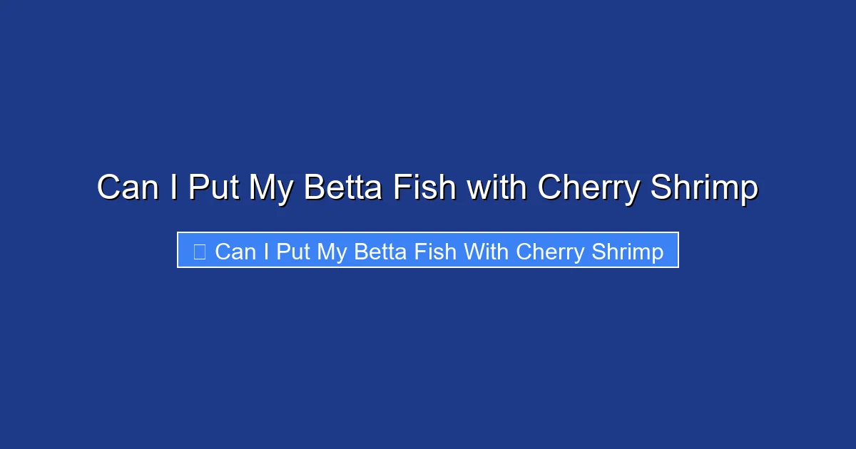 Can I Put My Betta Fish with Cherry Shrimp
