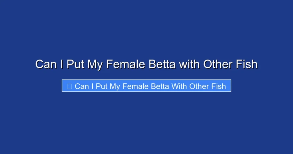 Can I Put My Female Betta with Other Fish