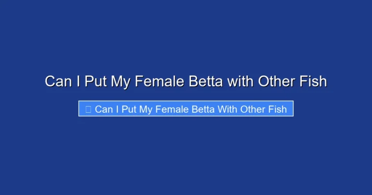 Can I Put My Female Betta with Other Fish
