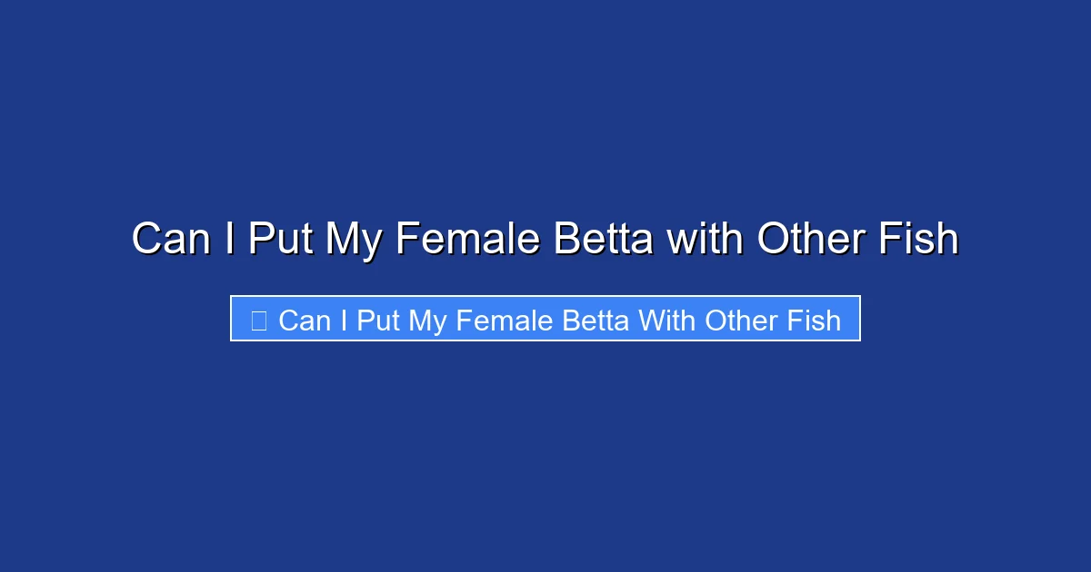 Can I Put My Female Betta with Other Fish