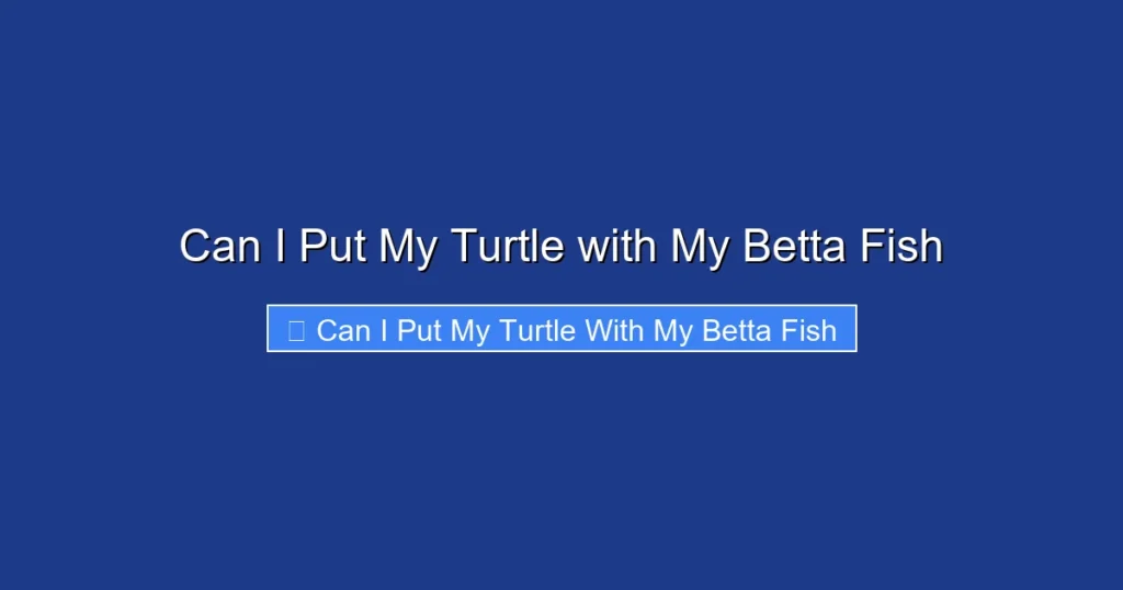 Can I Put My Turtle with My Betta Fish