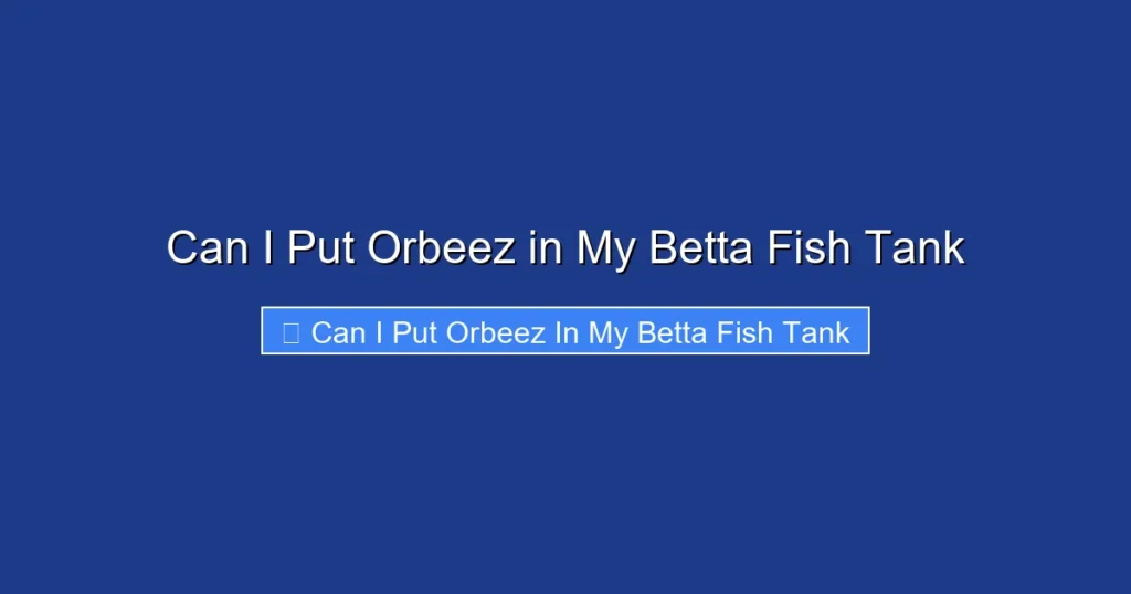 Can I Put Orbeez in My Betta Fish Tank