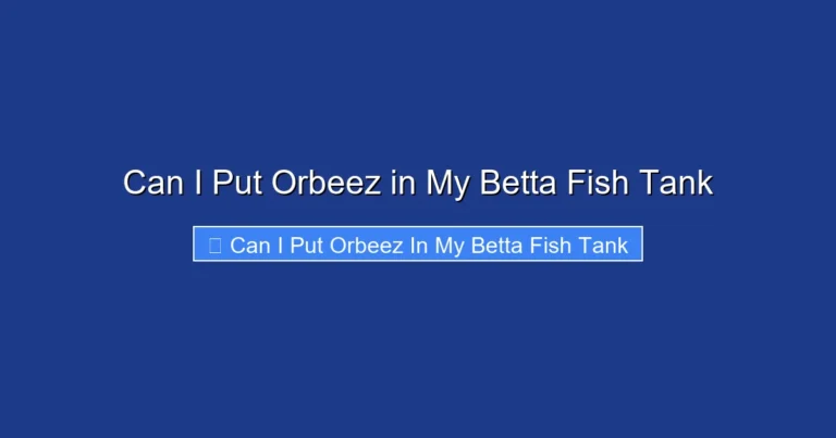 Can I Put Orbeez in My Betta Fish Tank
