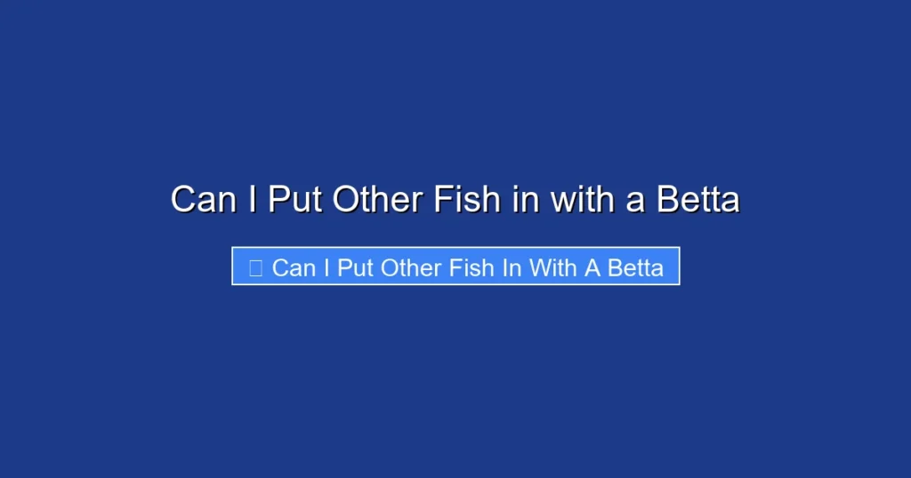 Can I Put Other Fish in with a Betta