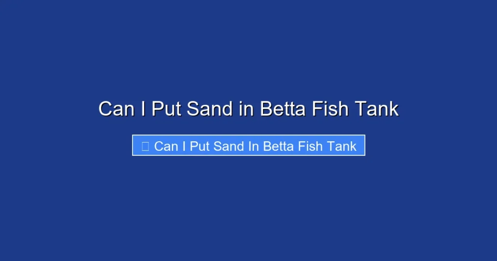 Can I Put Sand in Betta Fish Tank
