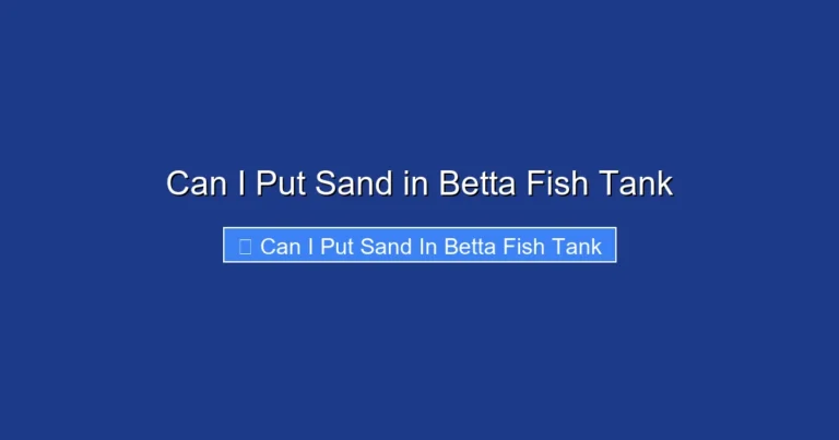 Can I Put Sand in Betta Fish Tank