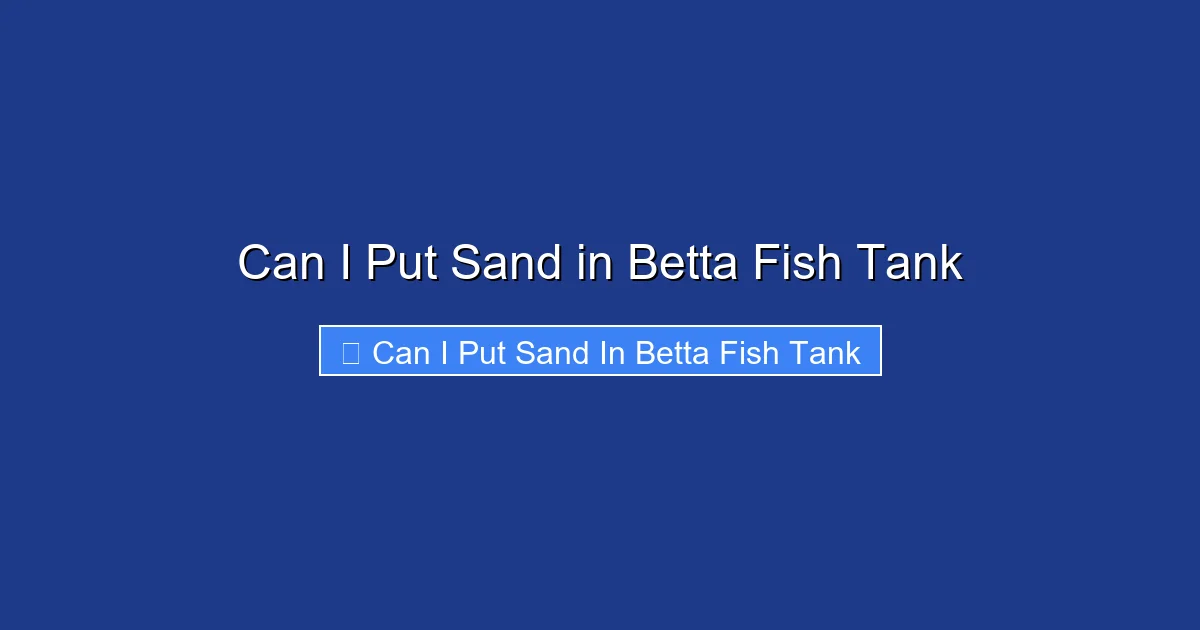 Can I Put Sand in Betta Fish Tank
