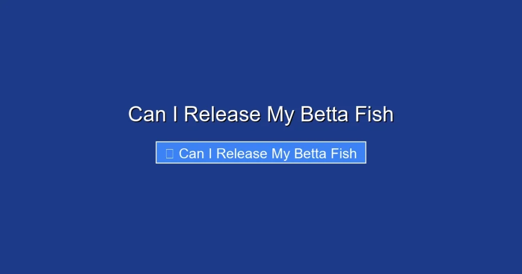 Can I Release My Betta Fish